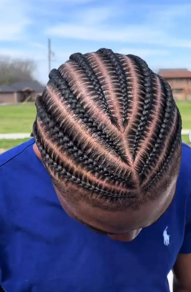 Men's Cornrow Braids